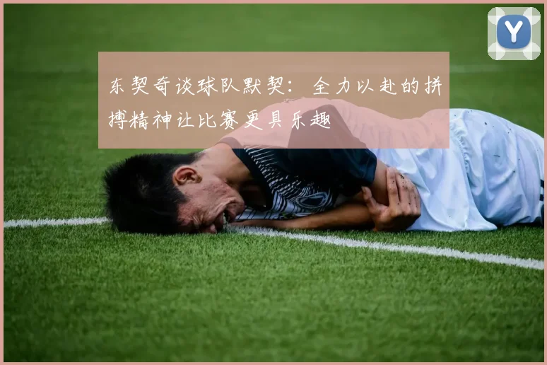 东契奇谈球队默契：全力以赴的拼搏精神让比赛更具乐趣